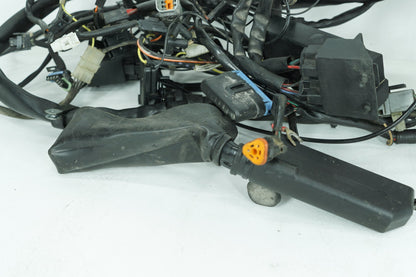 1984 - 1998 Harley-Davidson Touring Road King Classic Main Wire Wiring Harness Loom 70245-98