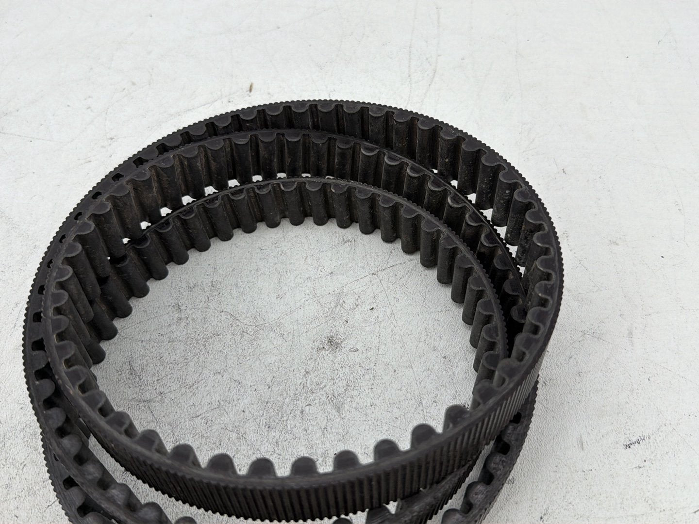 2006 Harley Sportster 1200 Custom XL1200C OEM Rear Drive Belt