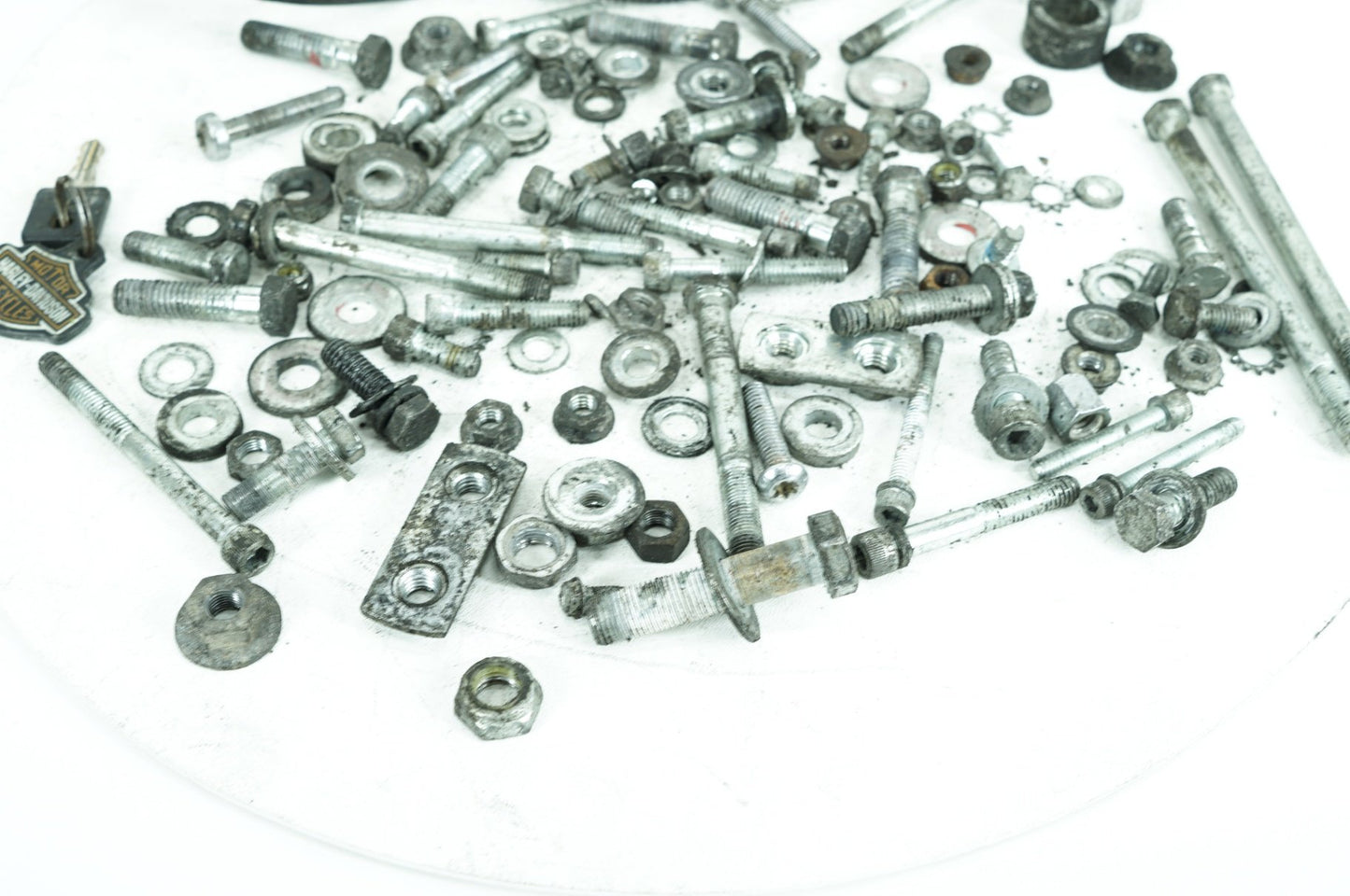 1986 - 2003 Harley-Davidson Sportster 1200 Hardware Bolts Nuts & Brackets