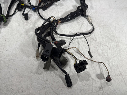2006 Harley Touring FLHRI Road King OEM Main Wire Wiring Harness Loom