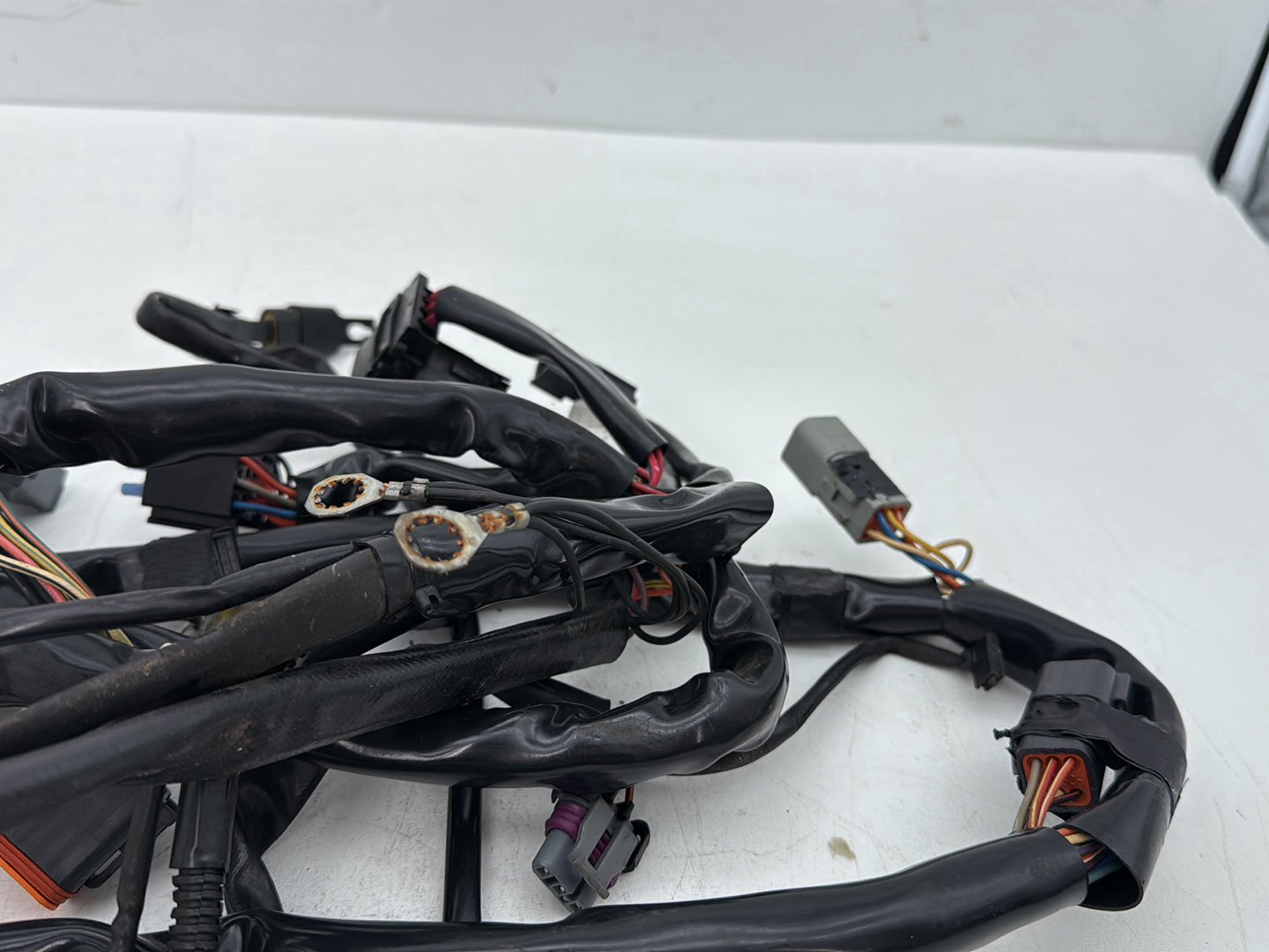 2002 Harley Dyna FXD Super Glide OEM Main Wire Wiring Harness Loom