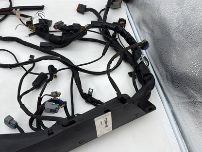 1999 - 2006 Harley-Davidson Touring Electra Glide Ultra Main Wire Wiring Harness Loom 71000-06