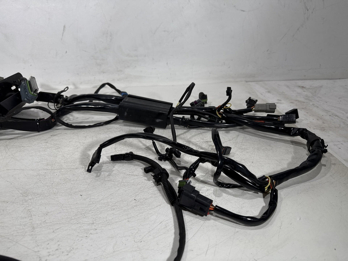 04 Harley Heritage Softail Classic FLSTCI OEM Main Wire Wiring Harness Loom EFI