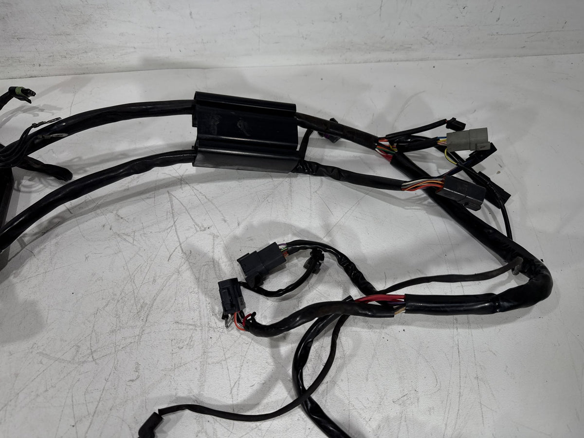 2001 Harley Softail Standard FXST OEM Main Wire Wiring Harness Loom CARB