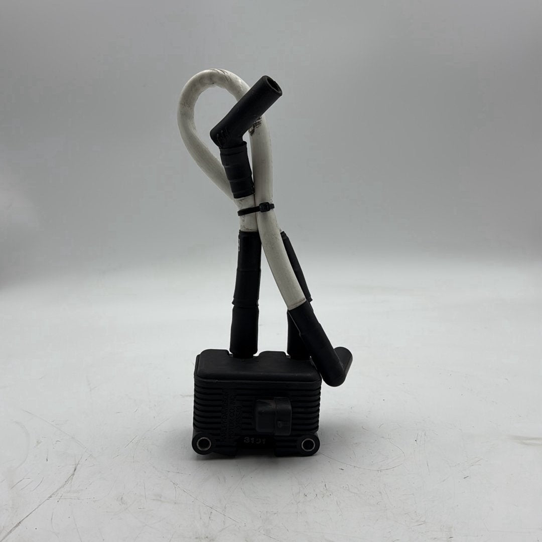 1999 - 2006 Harley-Davidson Dyna Low Rider Ignition Coil Spark Plugs Cable 31655-99