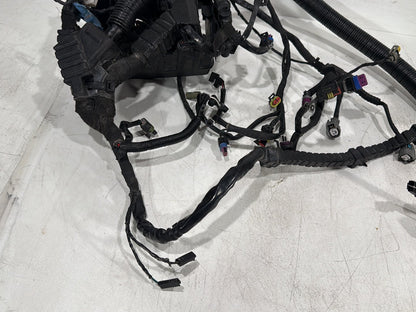 2015 Harley Dyna Low Rider FXDL OEM Main Wire Wiring Harness Loom NON-abs