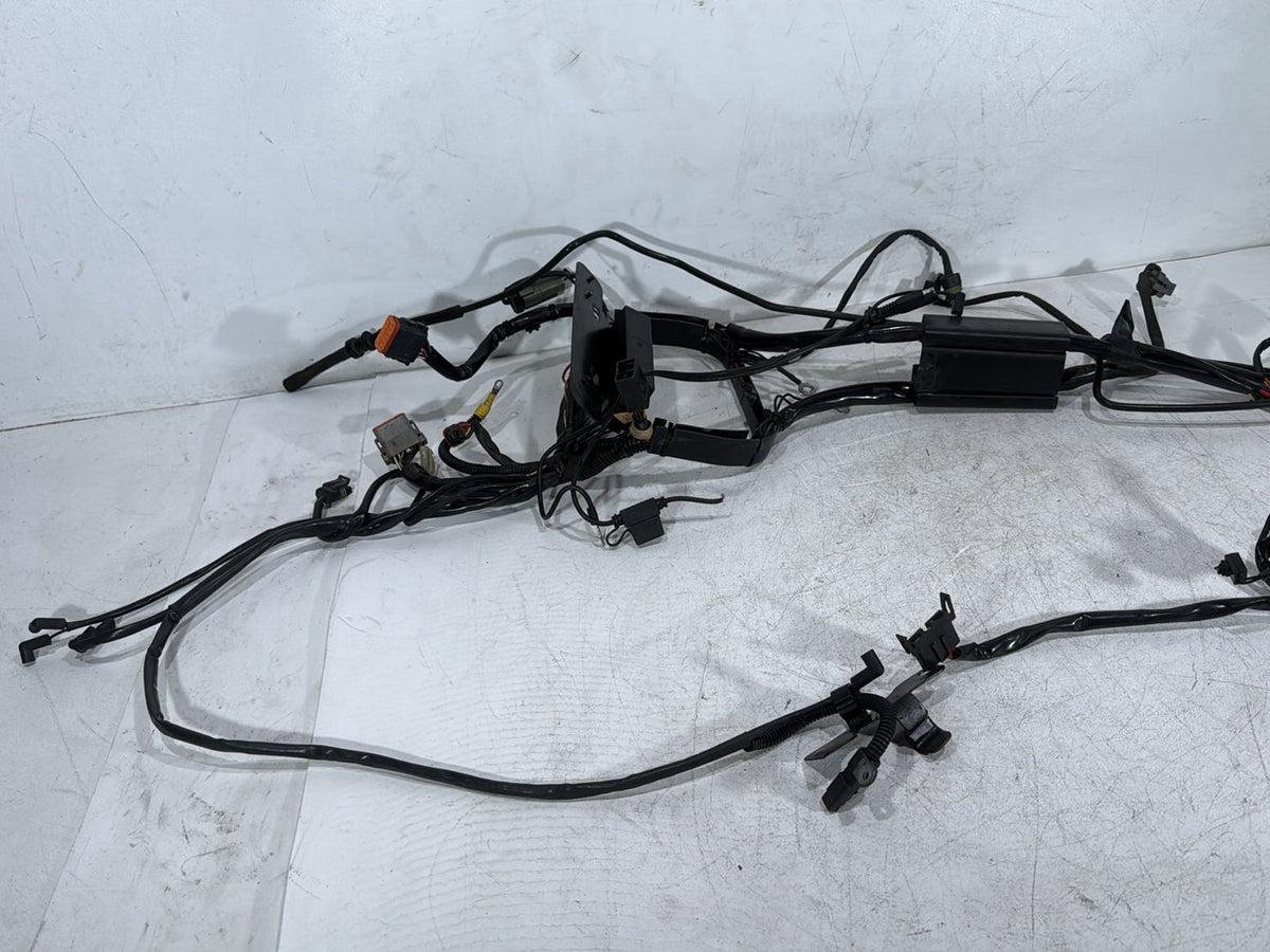 2005 Harley Softail Fat Boy FLSTF OEM Main Wire Wiring Harness Loom CARB