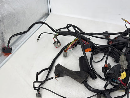 1999 - 2006 Harley-Davidson Touring Electra Glide Classic Main Wire Wiring Harness Loom 70985-01