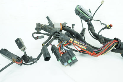 Harley-Davidson Misc  Main Wire Wiring Harness Loom