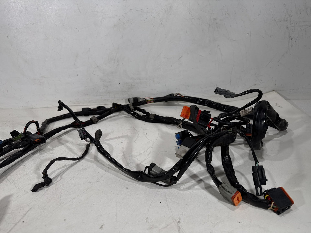 2005 Harley Dyna Wide Glide FXDWG OEM Main Wire Wiring Harness Loom CARB
