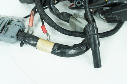 2004 - 2022 Harley-Davidson Sportster 883 Main Wire Wiring Harness Loom 70181-07