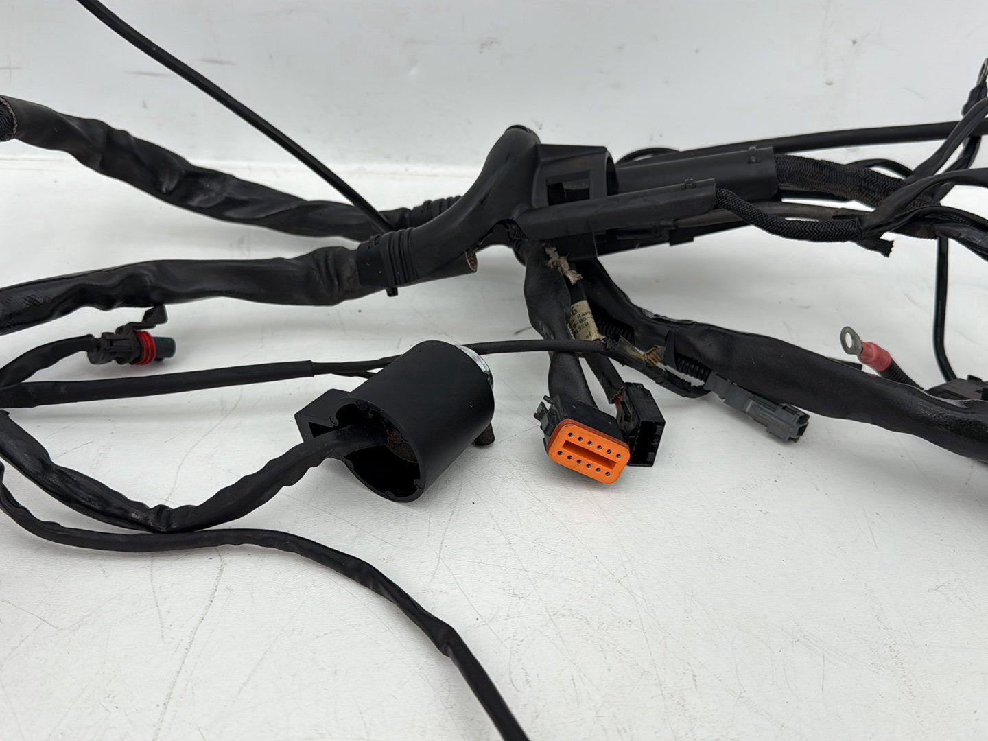 2006 Harley Sportster XL883C 883 Custom OEM Main Wire Wiring Harness Ignition Switch NOKey