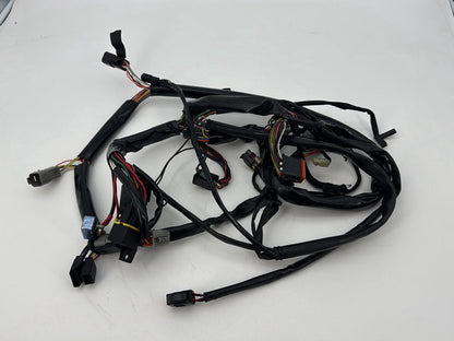 1999 - 2006 Harley-Davidson Dyna Low Rider Main Wire Wiring Harness Loom