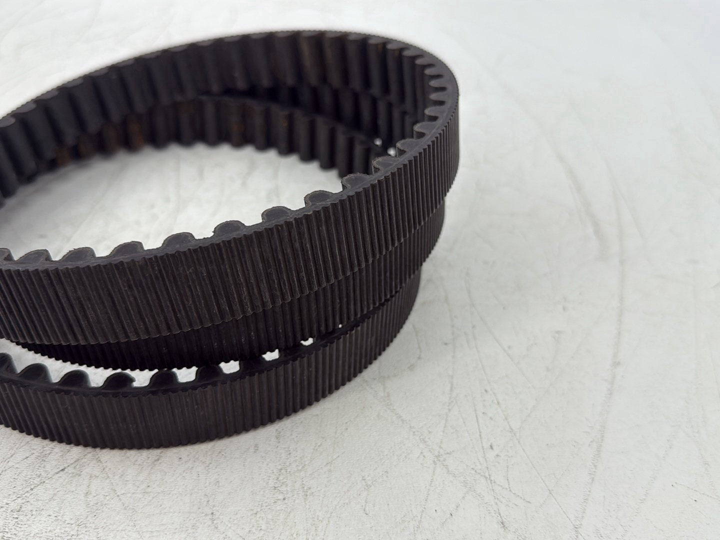 2013 Harley Forty-Eight Sportster 1200X OEM Rear Drive Belt