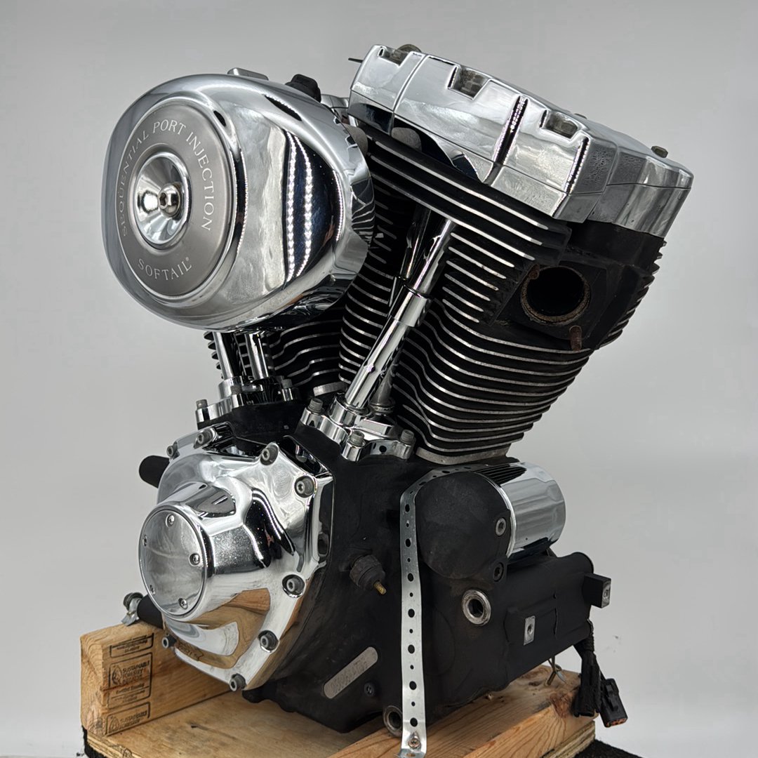 1999 - 2006 Harley-Davidson Softail Deluxe EFI Twin Cam 88 Engine Motor 19259-06