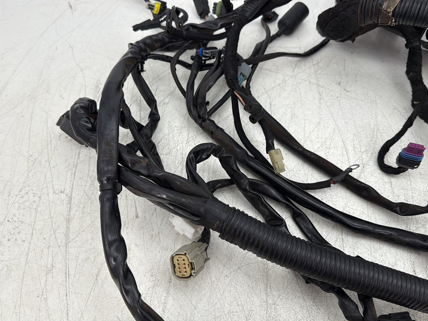 2007 Harley Dyna Street Bob FXDBI OEM Main Wire Wiring Harness Loom