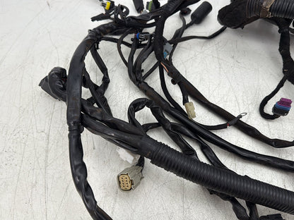 2007 Harley Dyna Street Bob FXDBI OEM Main Wire Wiring Harness Loom
