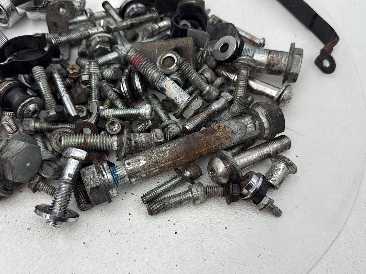 2004 - 2013 Harley-Davidson Sportster 883 Custom Hardware Bolts Nuts & Brackets