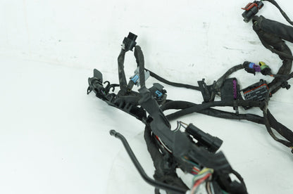 2018 - 2026 Harley-Davidson Softail Low Rider S Main Wire Wiring Harness Loom ABS 69201492