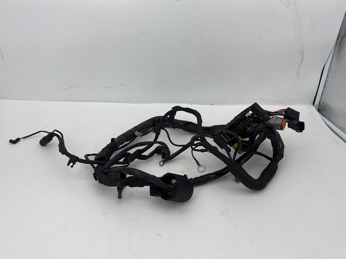 2003 Harley Sportster XL1200C 1200 Custom Anniversary OEM Main Wire Wiring Harness Ignition Switch NOKey