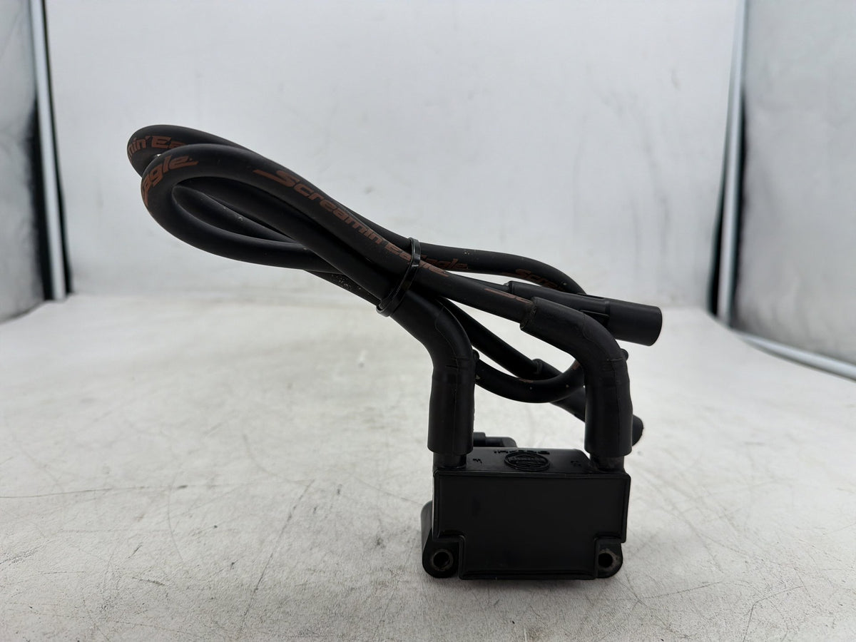 2015 Harley Electra Glide Touring Ultra OEM Ignition Coil Spark Plugs Cable