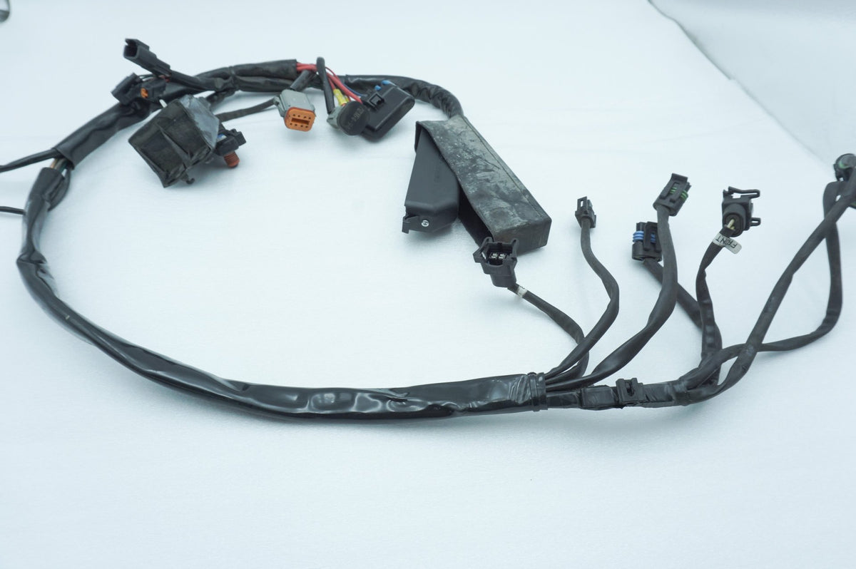 Wire Harness Loom Plug In Connector, 2001, Harley-Davidson, Touring, Electra Ultra, FLHTCUI
