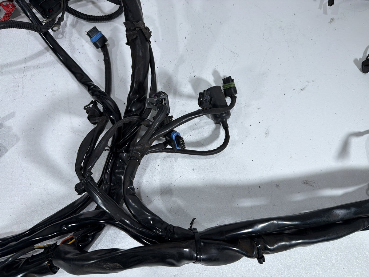 2004 Harley Electra Glide Touring Ultra OEM Main Wire Wiring Harness Loom