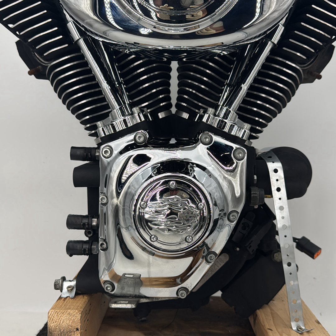 1999 - 2006 Harley-Davidson Dyna Low Rider EFI Twin Cam 88 Engine Motor 19255-05B