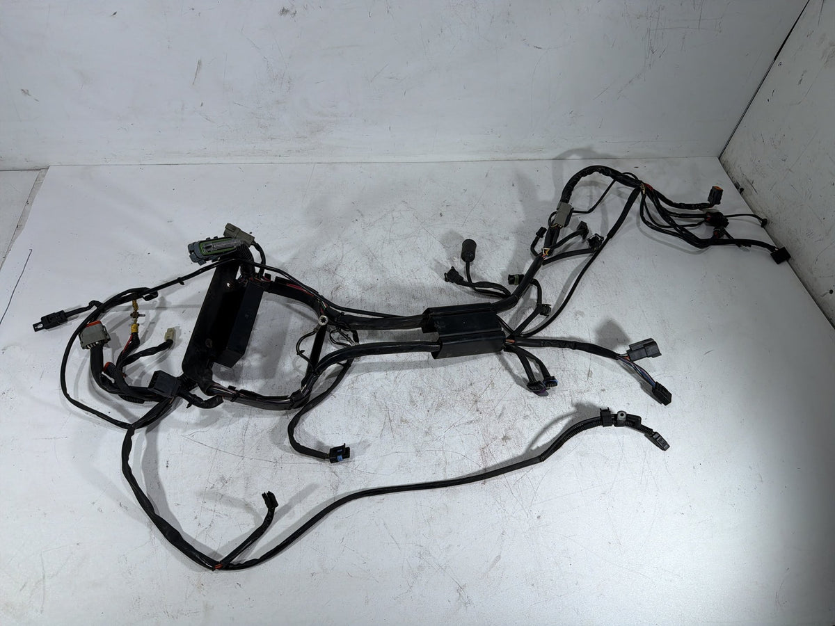 2001 Harley Fat Boy Softail FLSTFI OEM Main Wire Wiring Harness Loom CARB