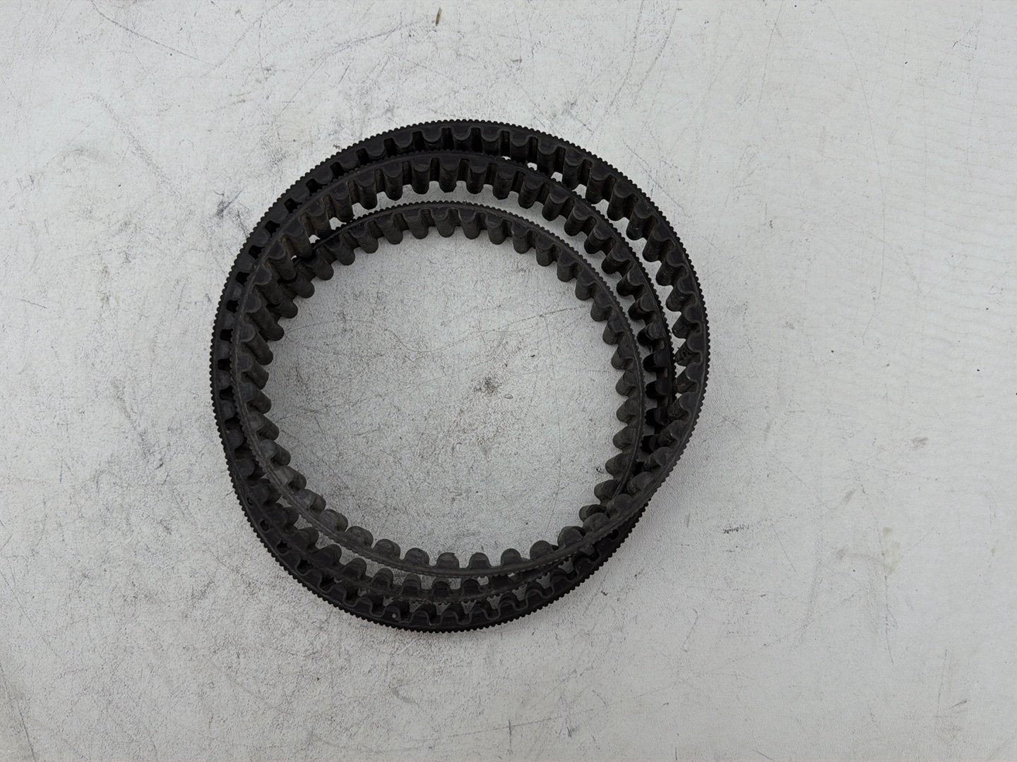 2006 Harley Sportster 1200 Custom XL1200C OEM Rear Drive Belt