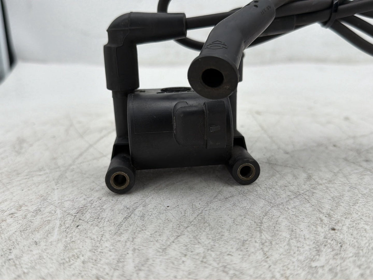 09 Harley Electra Glide Touring Ultra FLHTCU OEM Ignition Coil Spark Plugs Cable