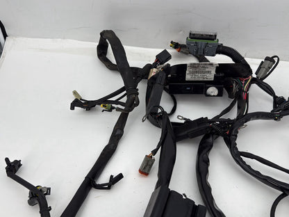 2007 Harley Softail Heritage Classic FLSTC OEM Main Wire Wiring Harness Loom