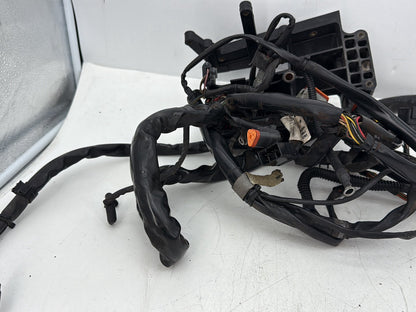 2005 Harley Dyna FXDWG Wide Glide OEM Main Wire Wiring Harness Loom