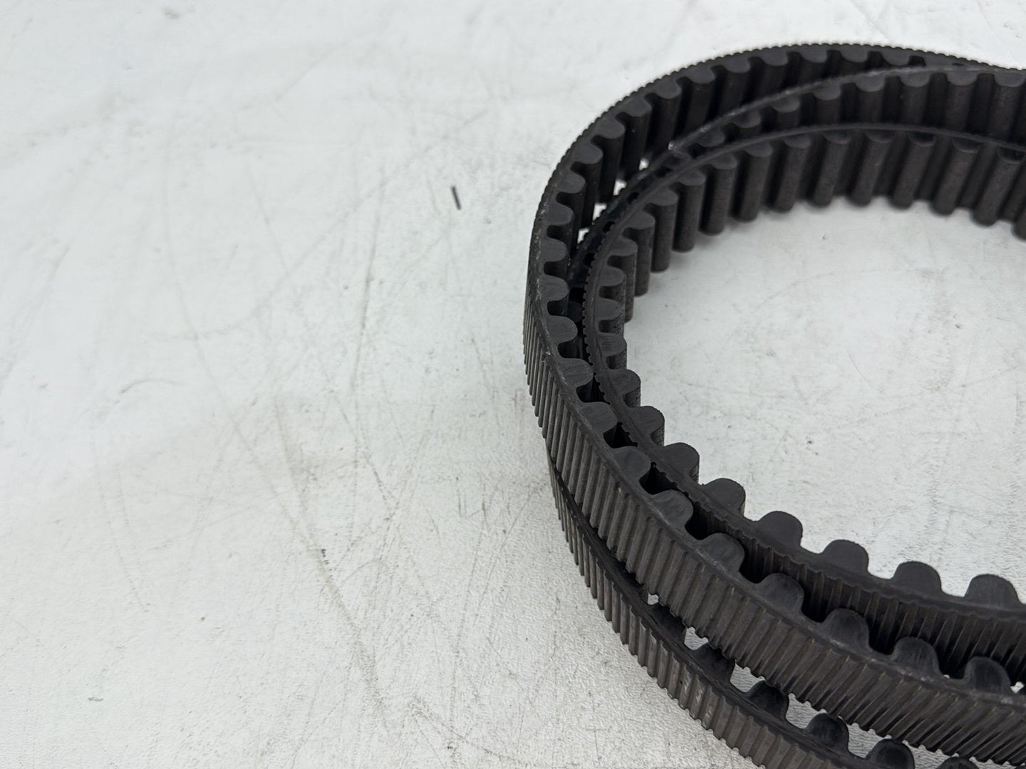 2009 Harley Sportster 883 Low XL883L OEM Rear Drive Belt