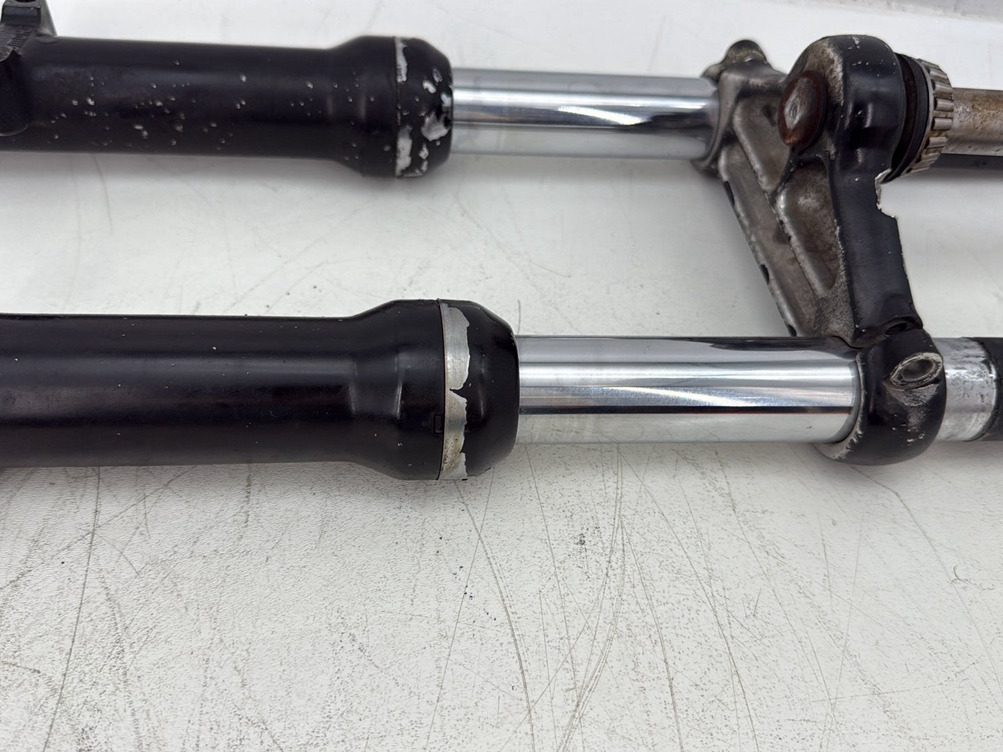 2004 Harley Sportster XL883C 883 Custom OEM Front Left & Right Fork Legs Sliders