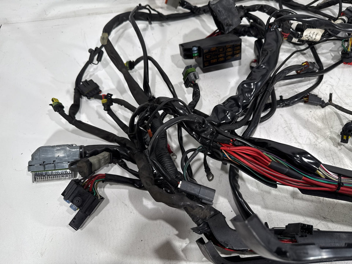 2007 Harley Electra Glide Touring CVO Eagle OEM Main Wire Wiring Harness Loom