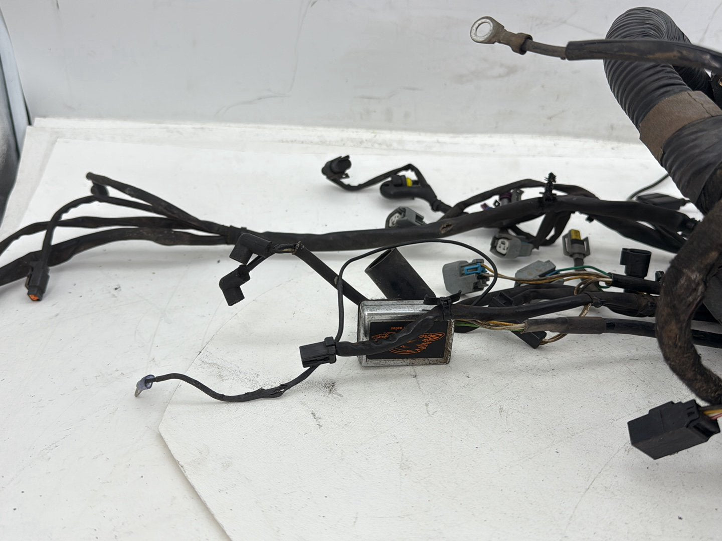 2006 Harley Dyna Super Glide Custom FXDCI OEM Main Wire Wiring Harness Loom