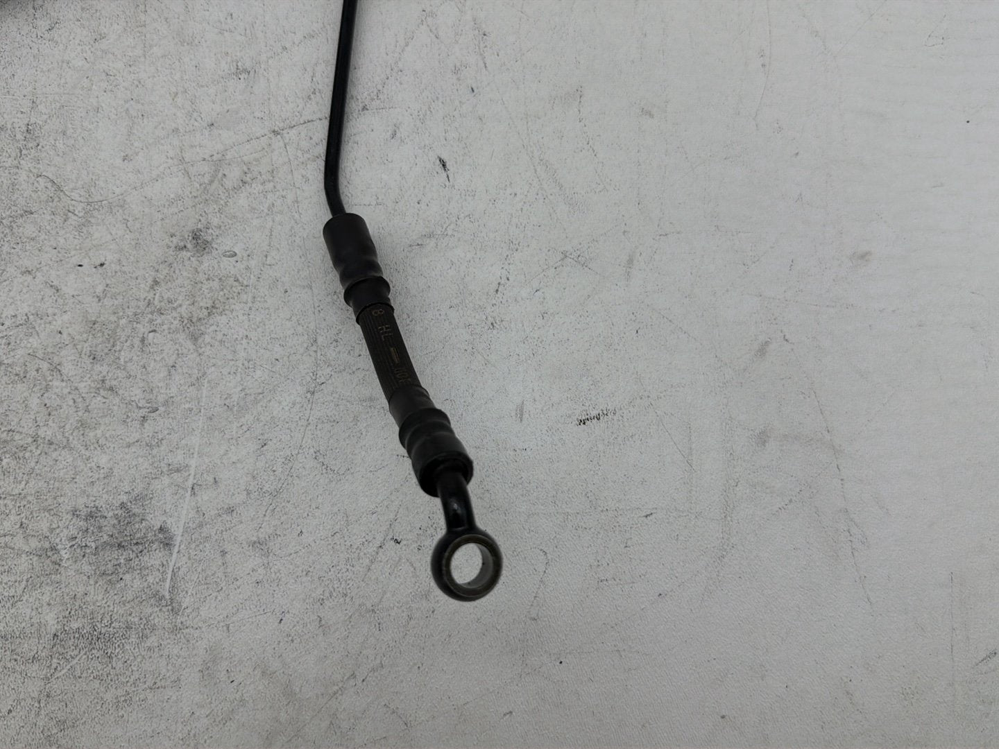 2006 Harley Sportster 1200 Custom XL1200C OEM Rear Brake Hose Line Pipe