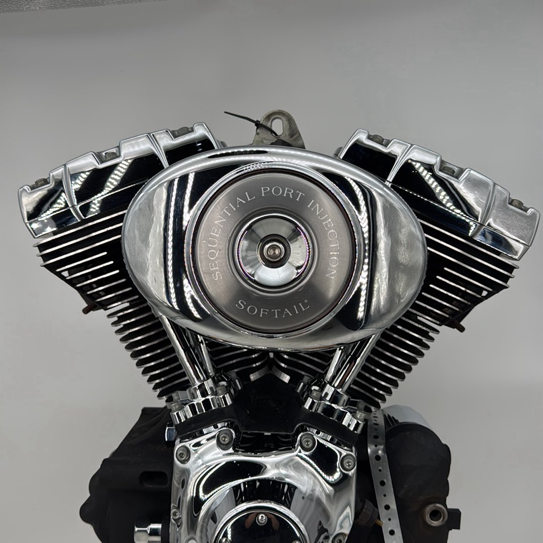 1999 - 2006 Harley-Davidson Softail Deluxe EFI Twin Cam 88 Engine Motor 19259-06