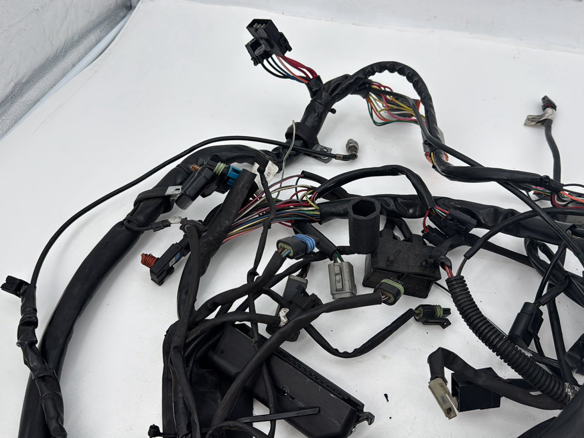 01 Harley Touring FLHTCI Electra Glide Classic OEM Main Wire Wiring Harness Loom