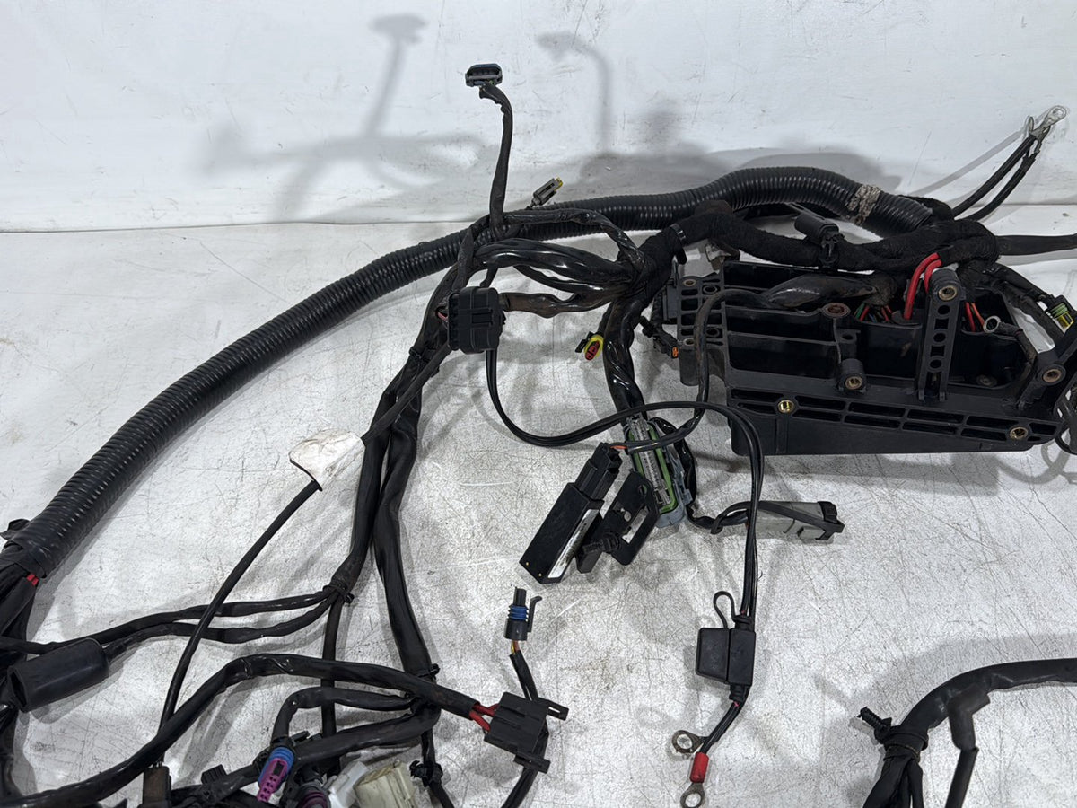 2007 Harley Dyna Street Bob FXDB OEM Main Wire Wiring Harness Loom