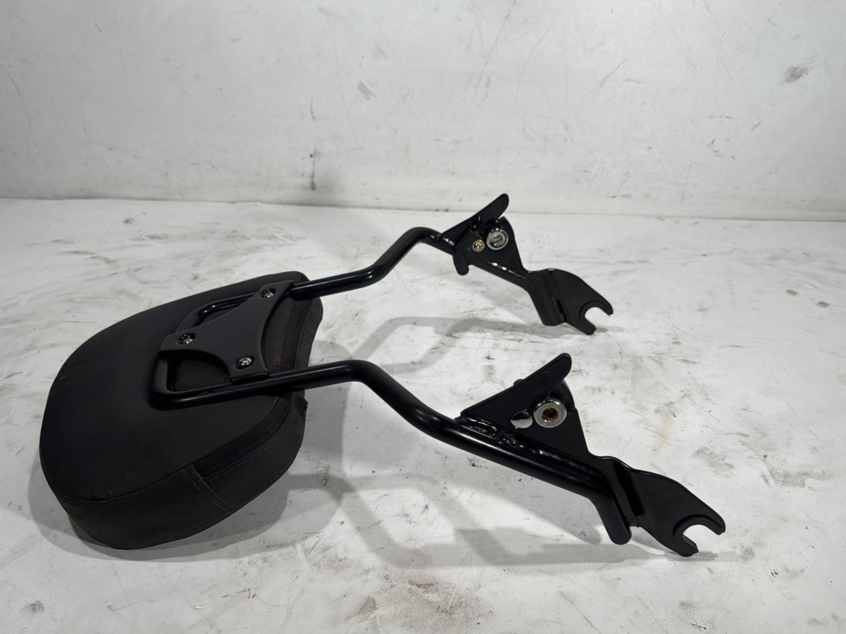 2022 Harley Road King Touring FLHR OEM Rear Sissy Bar w/ Backrest Cushion Pad