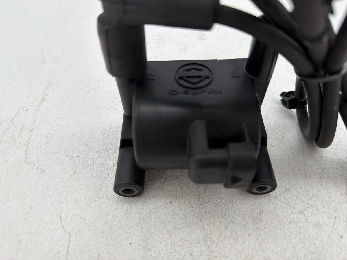 2014 Harley Electra Glide Touring Ultra OEM Ignition Coil Spark Plugs Cable