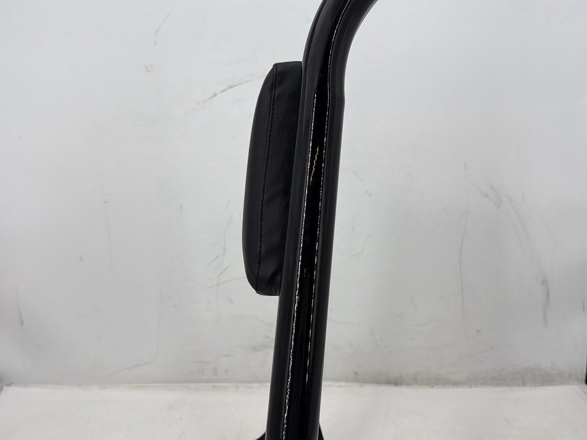 07 Harley Electra Glide Touring Ultr OEM Rear Sissy Bar w/ Backrest Cushion Pad