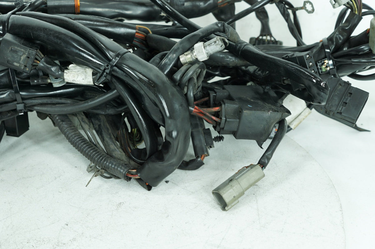 1999 - 2006 Harley-Davidson Touring Electra Glide Ultra Main Wire Wiring Harness Loom 70985-03