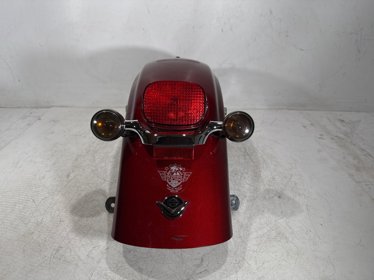 2009 Harley Electra Glide Touring CVO Eagle Rear Wheel Fender & Turn Signals Bar