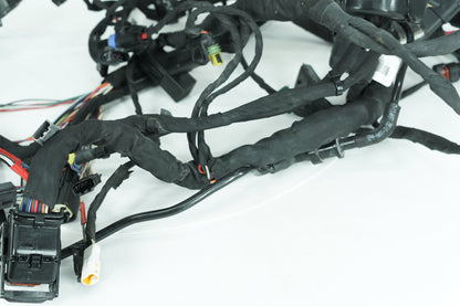 2018 - 2026 Harley-Davidson Softail Low Rider S Main Wire Wiring Harness Loom ABS 69202197