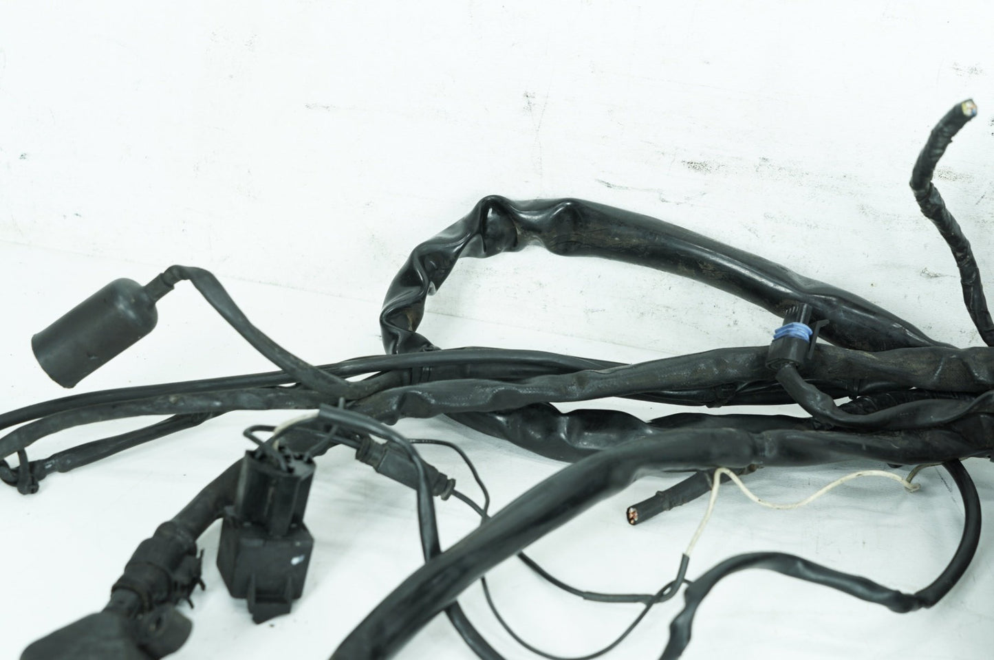 1999 - 2006 Harley-Davidson Dyna Low Rider Main Wire Wiring Harness Loom 69602-04A