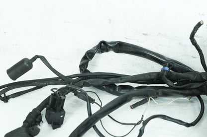 1999 - 2006 Harley-Davidson Dyna Low Rider Main Wire Wiring Harness Loom 69602-04A