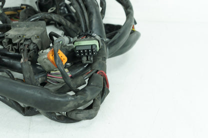 1999 - 2006 Harley-Davidson Touring Electra Glide Ultra Main Wire Wiring Harness Loom 70985-00